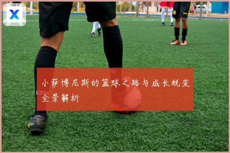 小萨博尼斯的篮球之路与成长蜕变全景解析