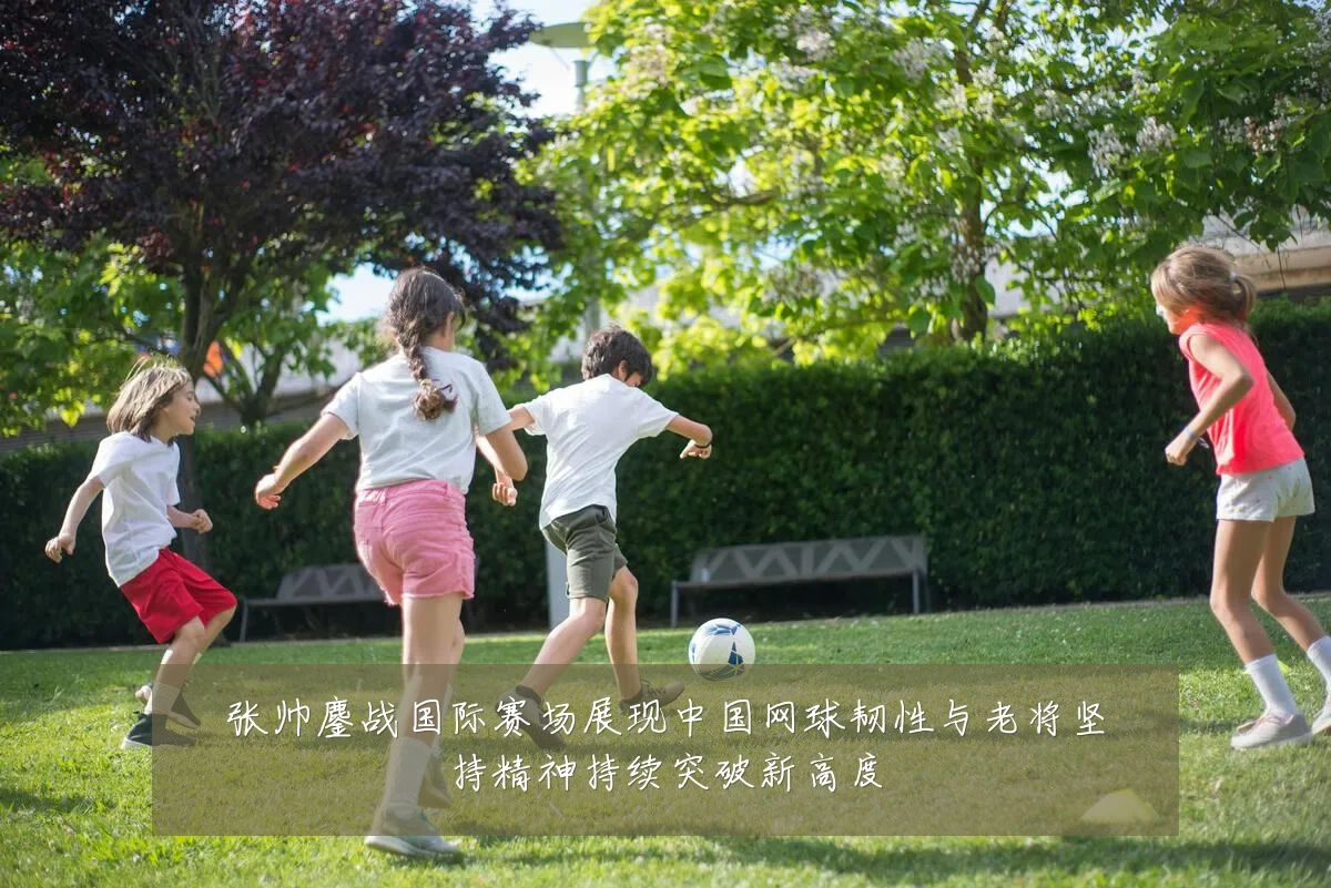 张帅鏖战国际赛场展现中国网球韧性与老将坚持精神持续突破新高度